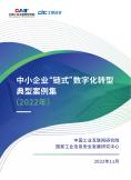 中小企业“链式”数字化转型典型案例集（2022年）