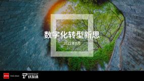 数字化转型新思（2022）