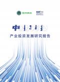 中国数字科技产业投资开展研究报告