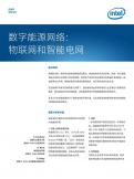 数字能源网络： 物联网和智能电网