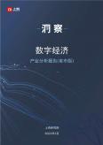 数字经济产业分析报告（省市版）
